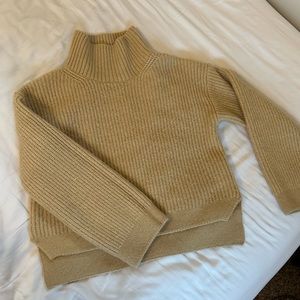 Topshop Crop Turtleneck Sweater
